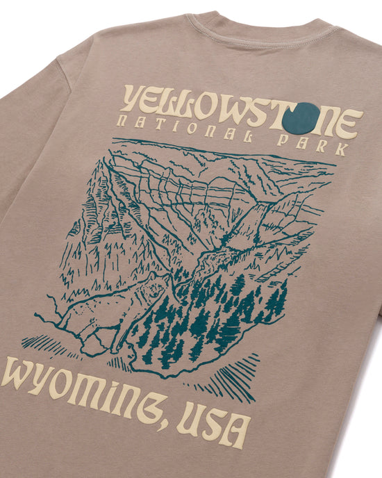 Parks Project Puff Print Pocket Tee
