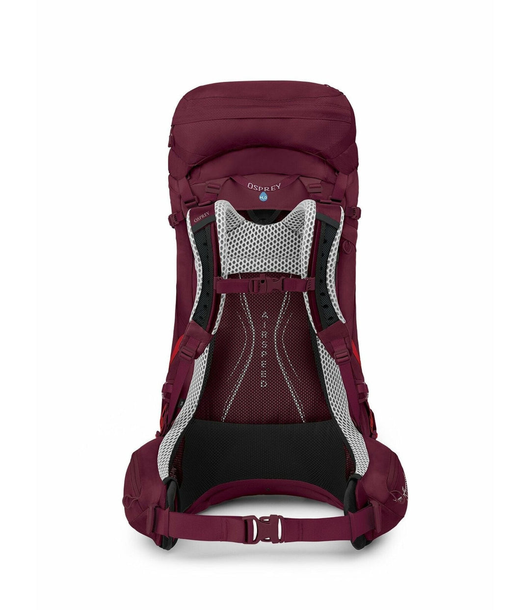 Aura AG LT 50 - Quest Outdoors