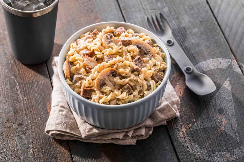 Beef Stroganoff - Quest Outdoors