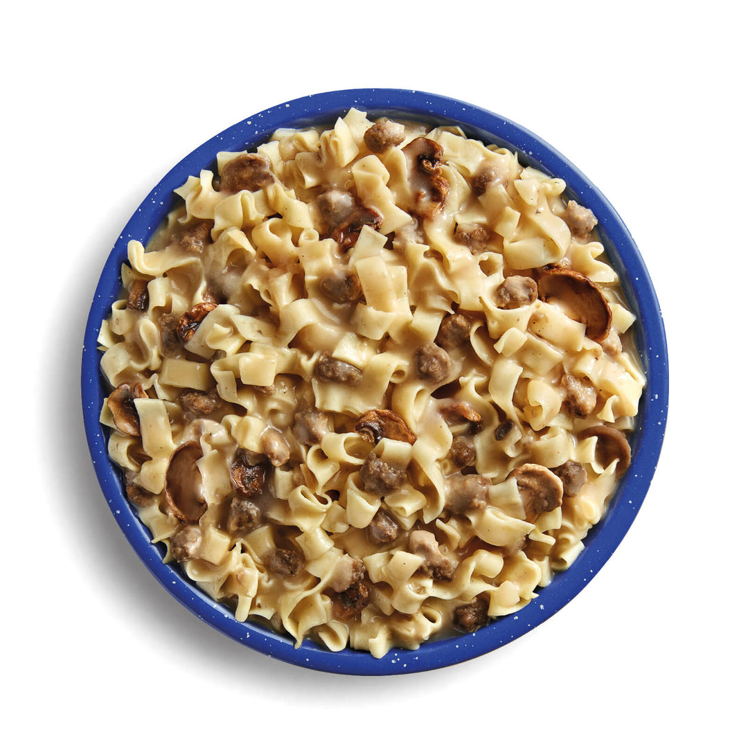 Beef Stroganoff with Noodles - Quest Outdoors