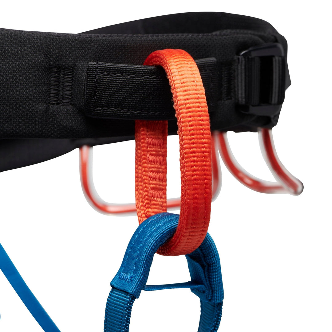 Black Diamond Men's Momentum Harness - Quest Outdoors