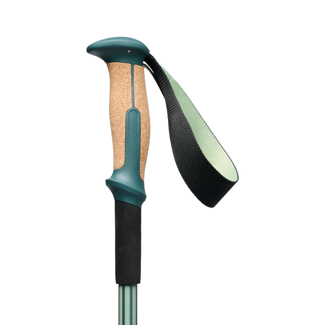 Black Diamond Trail Vista Shock Trekking Poles - Quest Outdoors