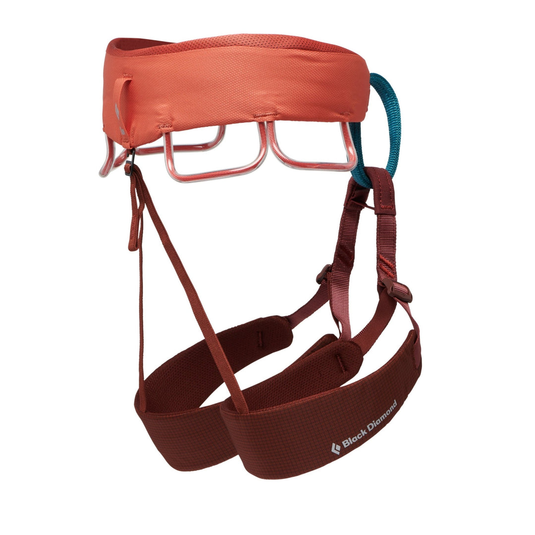 Black Diamond Women's Momentum Harness - Quest Outdoors