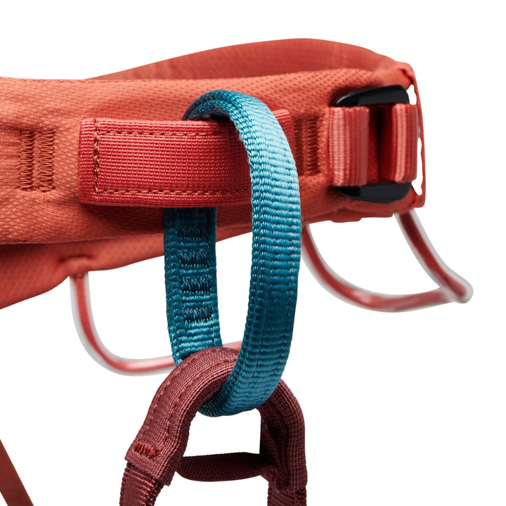 Black Diamond Women's Momentum Harness - Quest Outdoors