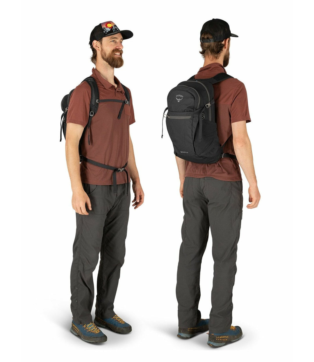 Daylite Plus - Quest Outdoors