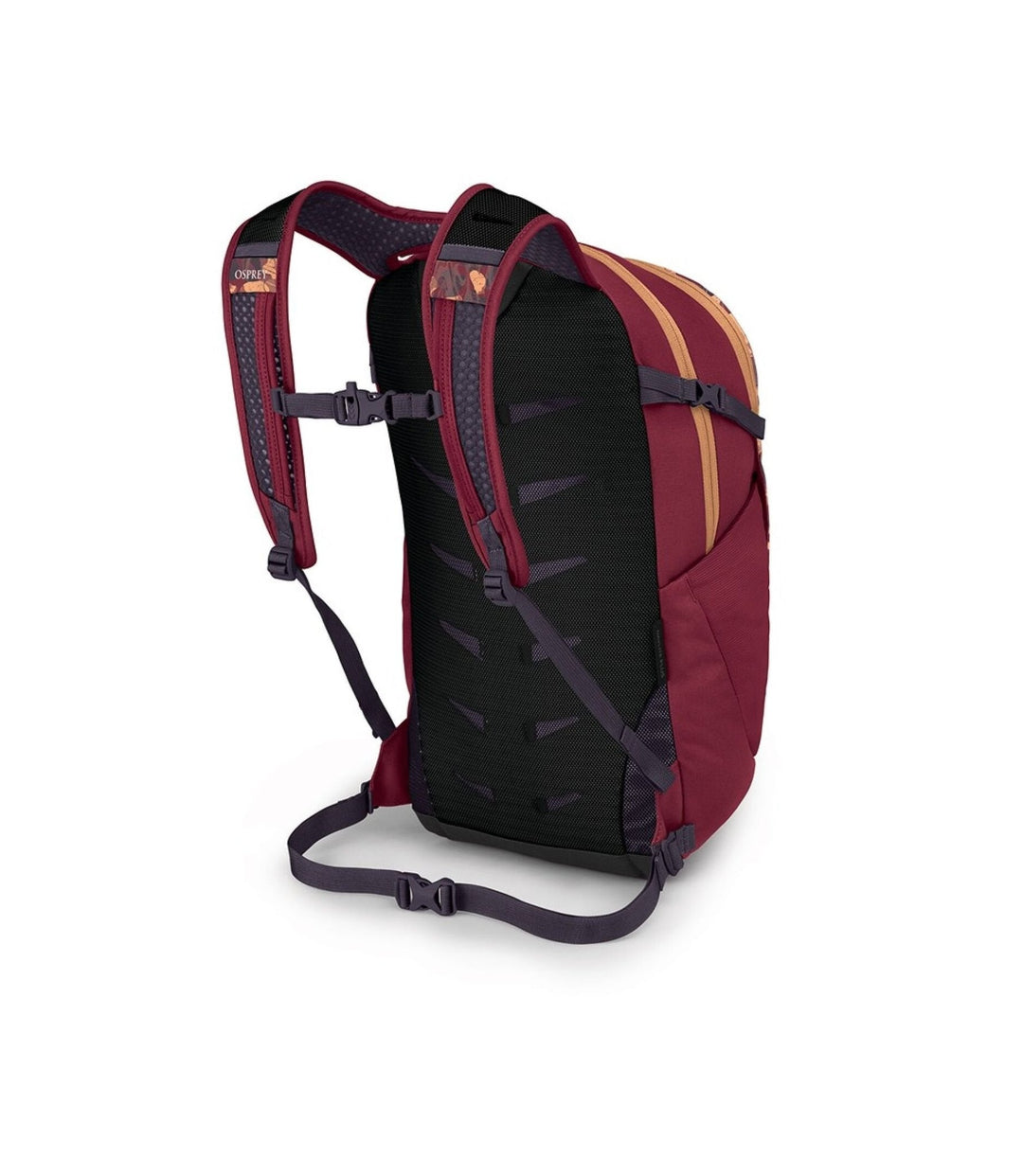 Daylite Plus - Quest Outdoors