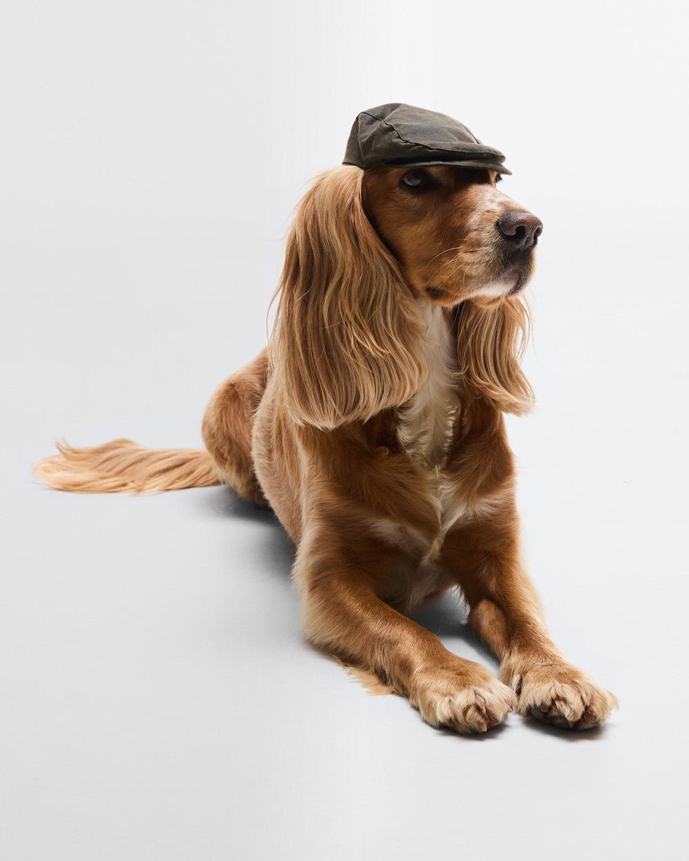 Dog Wax Flat Cap - Quest Outdoors