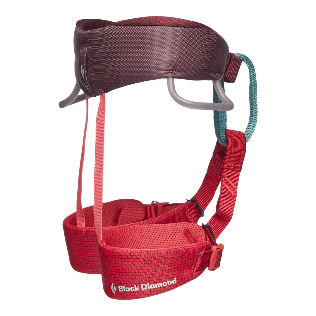 Kids' Momentum Harness - Quest Outdoors