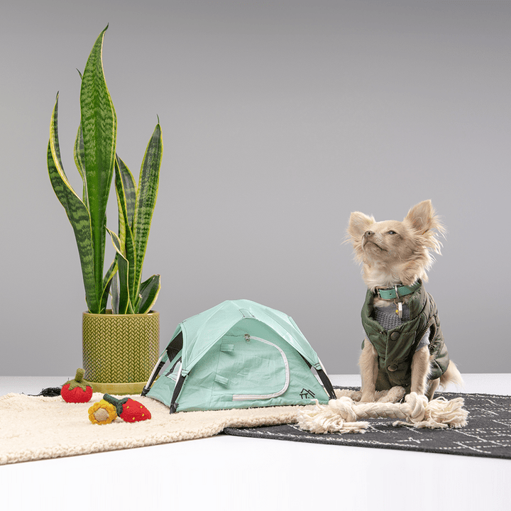 Micro Tent - Quest Outdoors