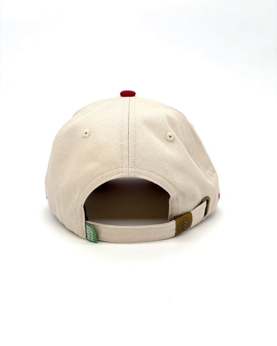 Parks Project Zion Vintage Patch Hat - Quest Outdoors