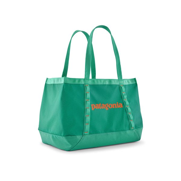 Patagonia Black Hole Tote 25L - Quest Outdoors