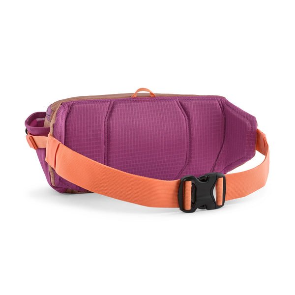 Patagonia Black Hole Waist Pack 5L - Quest Outdoors