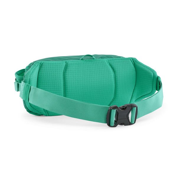 Patagonia Black Hole Waist Pack 5L - Quest Outdoors