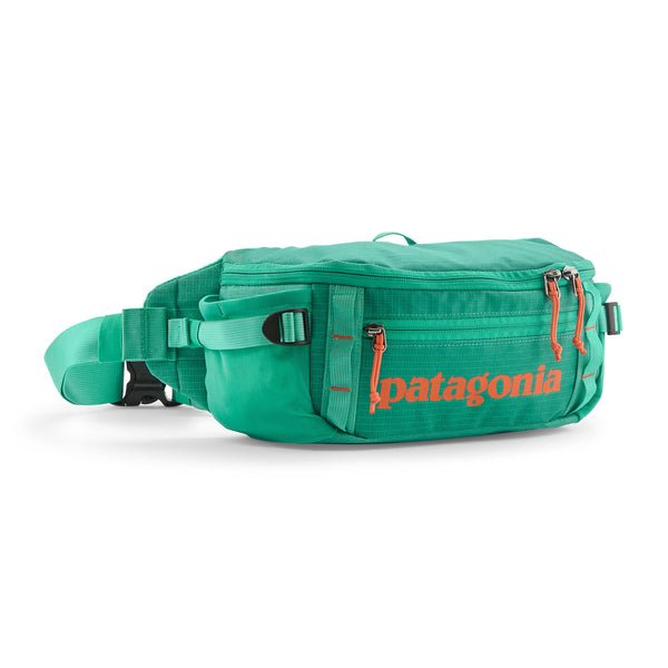 Patagonia Black Hole Waist Pack 5L - Quest Outdoors
