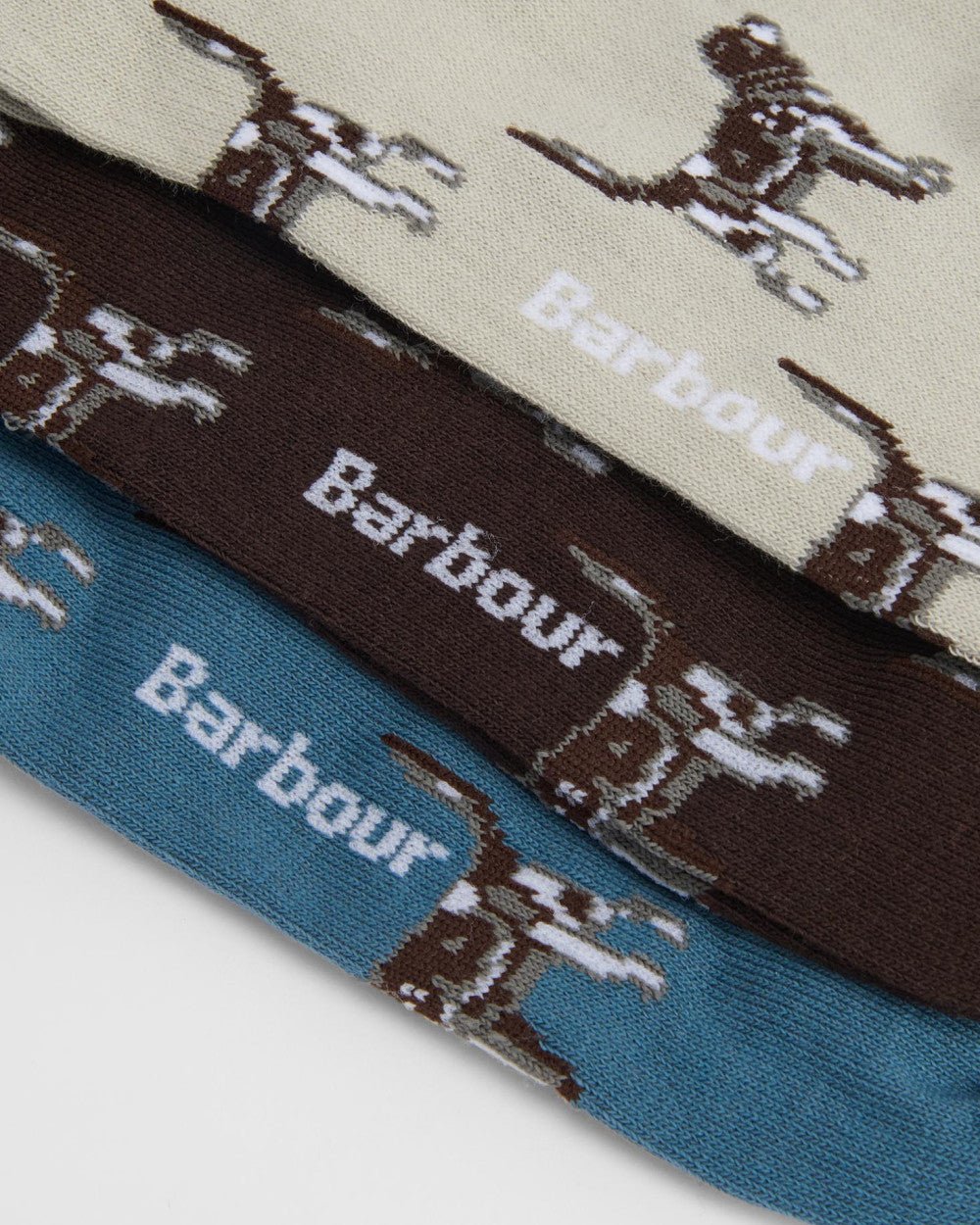 Pointer Dog Socks Gift Box - Quest Outdoors