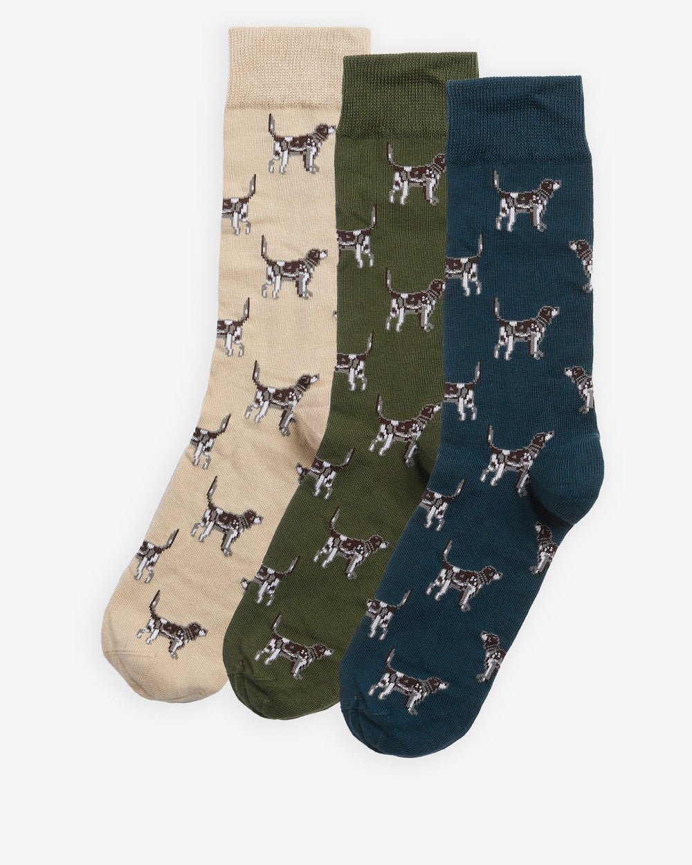 Pointer Dog Socks Gift Box - Quest Outdoors