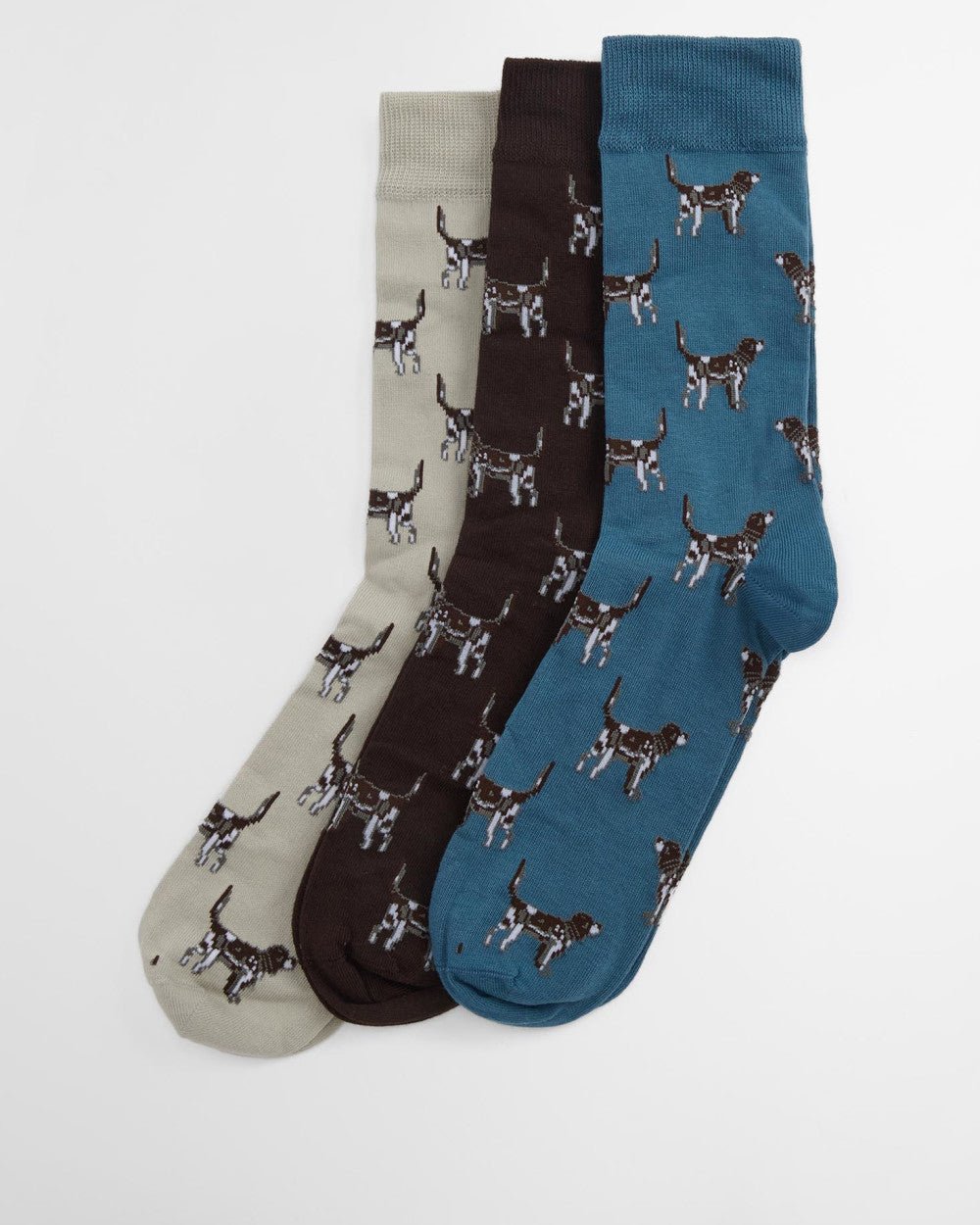 Pointer Dog Socks Gift Box - Quest Outdoors