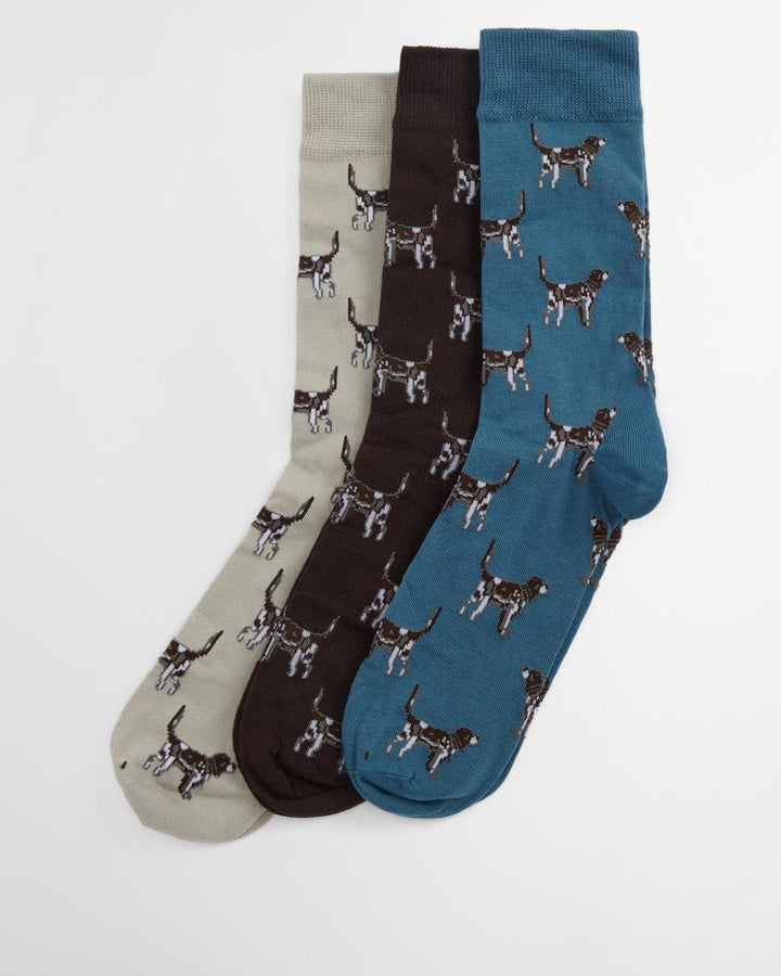 Pointer Dog Socks Gift Box - Quest Outdoors
