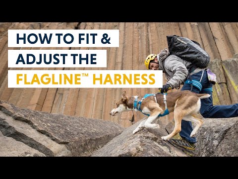 Ruffwear Flagline™ Harness