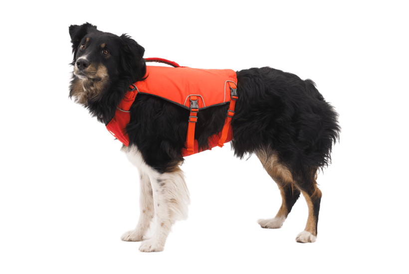 Ruffwear Confluence™ Life Jacket - Quest Outdoors
