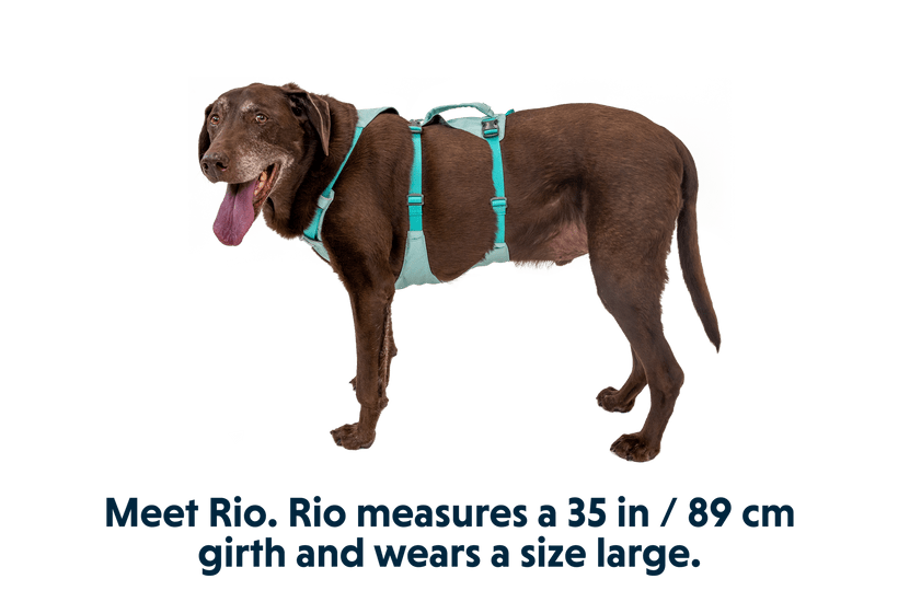 Ruffwear Flagline™ Harness - Quest Outdoors