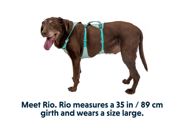 Ruffwear Flagline™ Harness - Quest Outdoors