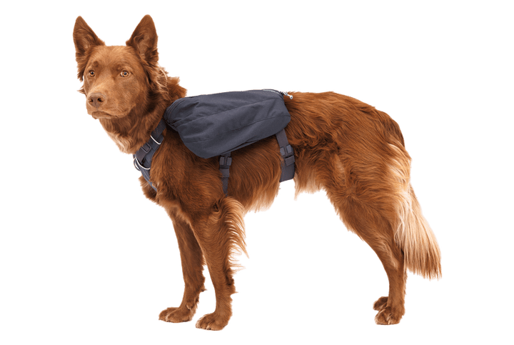 Ruffwear Front Range™ Day Pack - Quest Outdoors