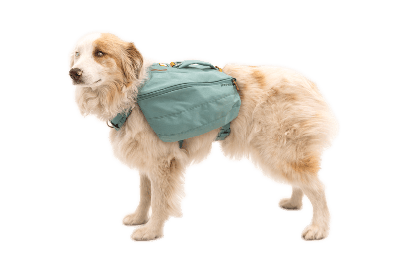 Ruffwear Front Range™ Day Pack - Quest Outdoors