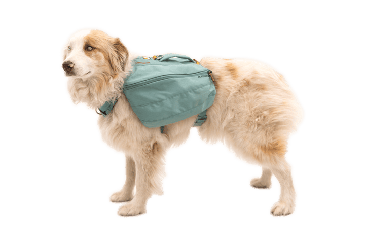 Ruffwear Front Range™ Day Pack - Quest Outdoors