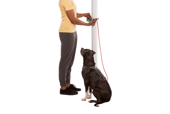 Ruffwear Hitch Hiker™ Leash - Quest Outdoors