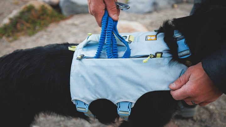 Ruffwear Palisades™ Pack - Quest Outdoors
