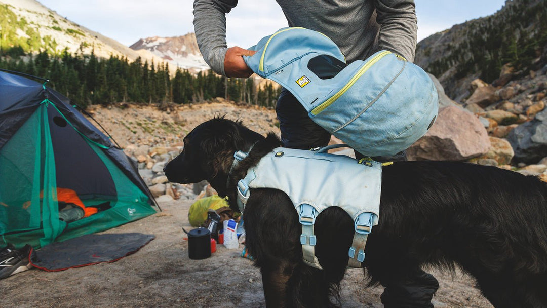 Ruffwear Palisades™ Pack - Quest Outdoors