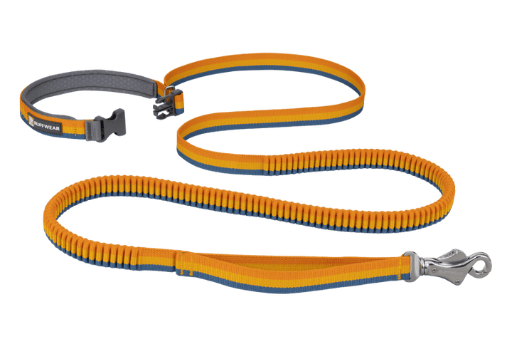Ruffwear Roamer™ Leash - Quest Outdoors
