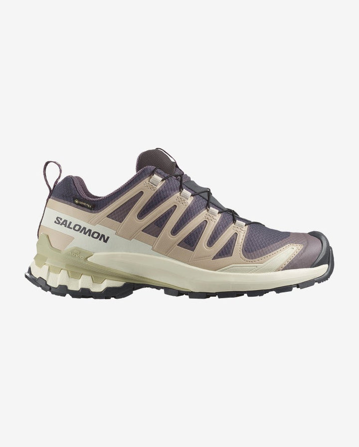 Salomon Women's XA PRO 3D V9 GTX - Quest Outdoors