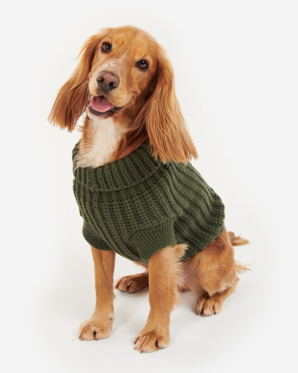 Saltburn Dog Jumper - Quest Outdoors