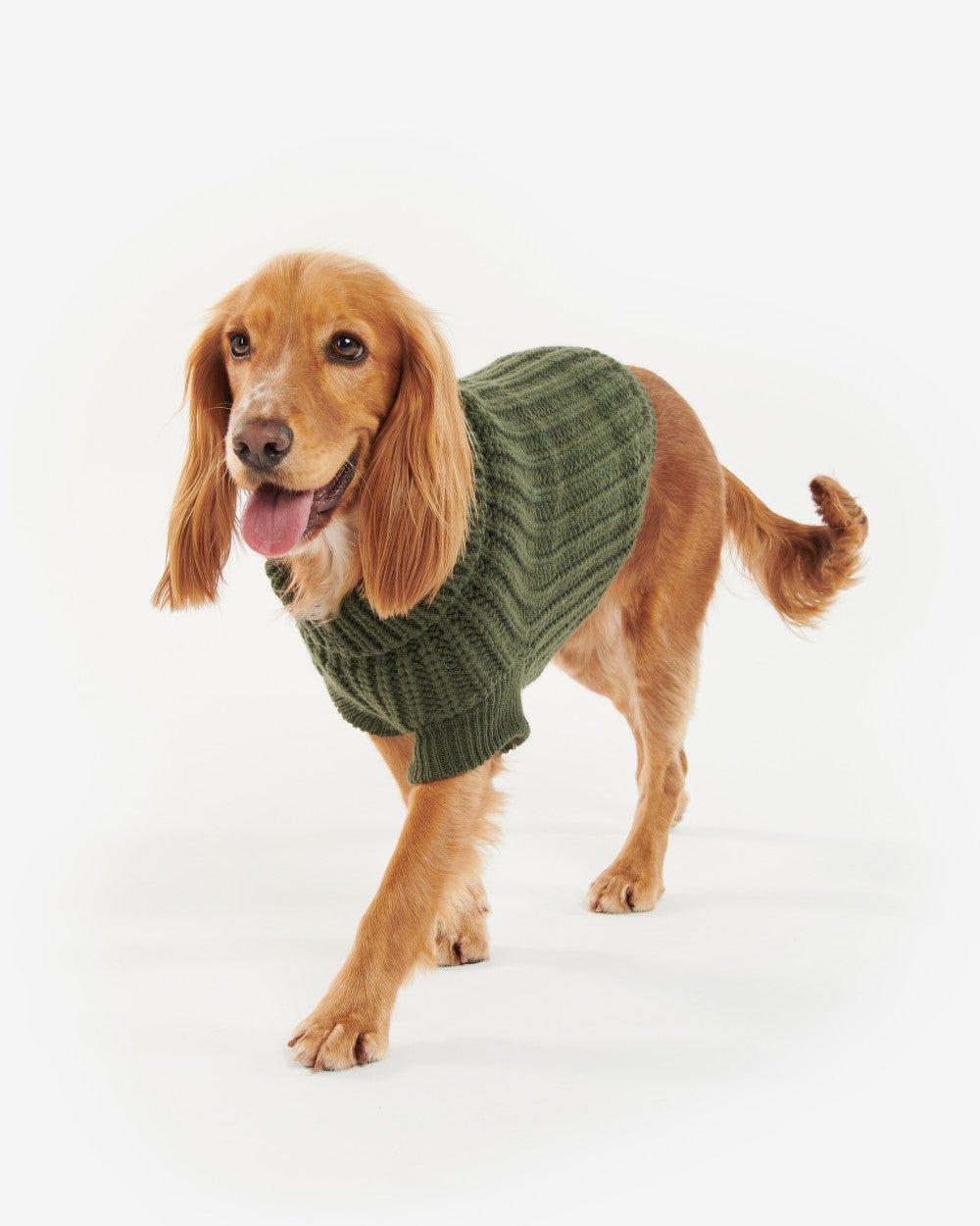 Saltburn Dog Jumper - Quest Outdoors
