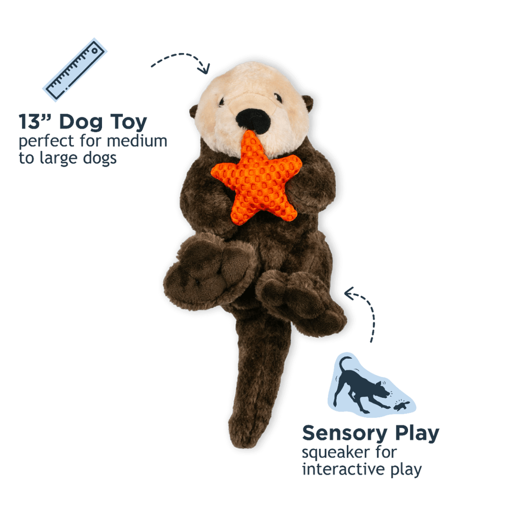 Tall Tails 10" Rope Otter Toy - Quest Outdoors