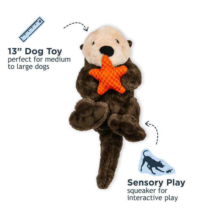 Tall Tails 10" Rope Otter Toy - Quest Outdoors