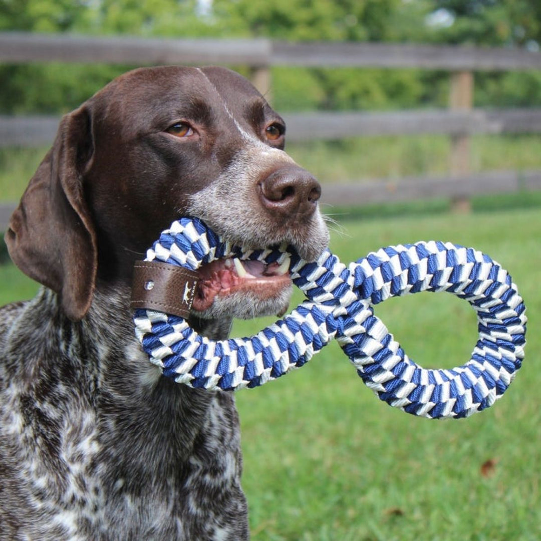 Tall Tails 11" Infinity Braided Tug Toy Navy - Quest Outdoors