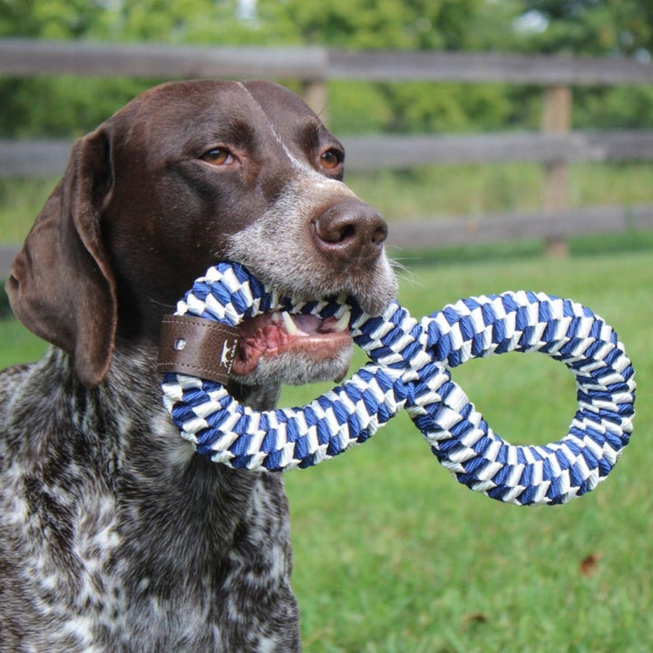 Tall Tails 11" Infinity Braided Tug Toy Navy - Quest Outdoors