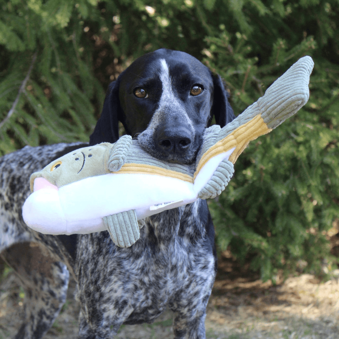 Tall Tails 14" Bass Twitchy Tail Toy - Quest Outdoors