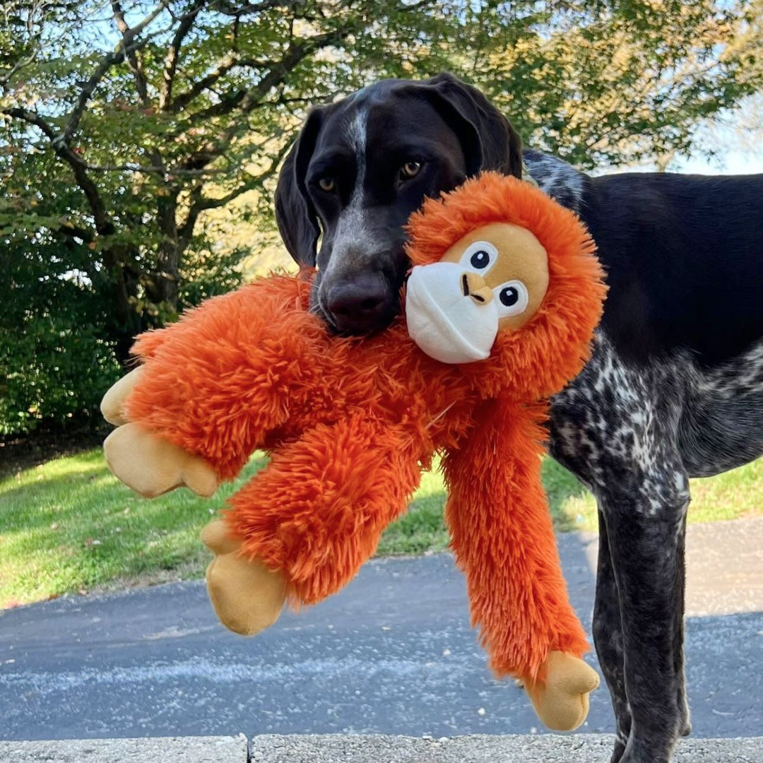 Tall Tails 14" Orangutan Rope Toy - Quest Outdoors