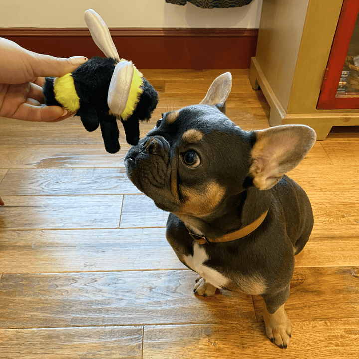 Tall Tails Bee with Squeak & Crinkle - Quest Outdoors