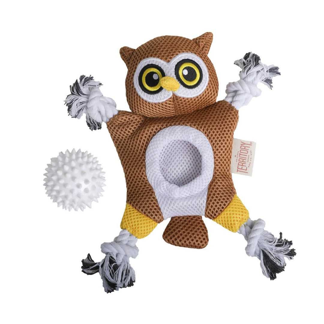 Territory Owl 2 - in - 1 Toy - Quest Outdoors