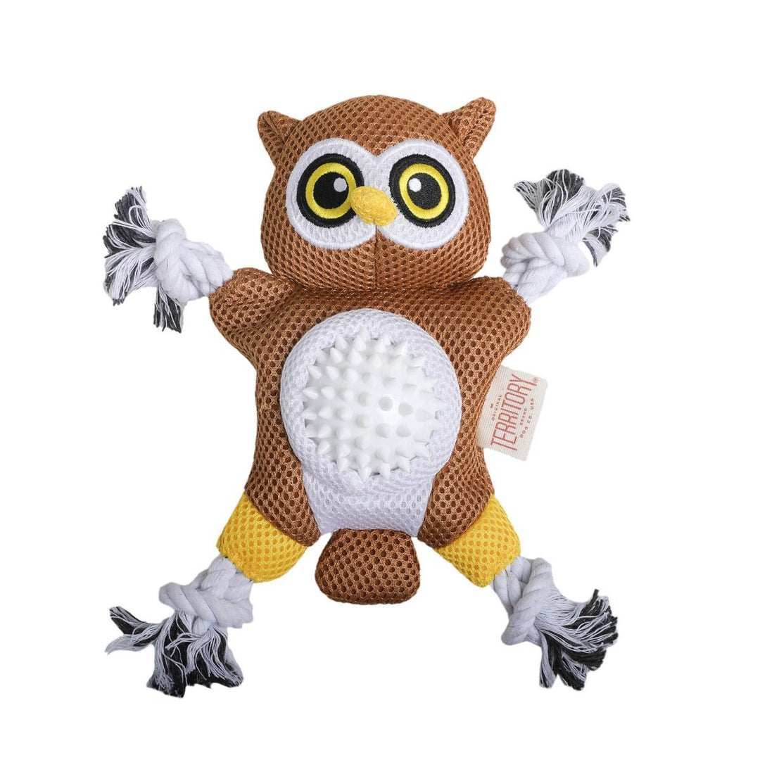 Territory Owl 2 - in - 1 Toy - Quest Outdoors