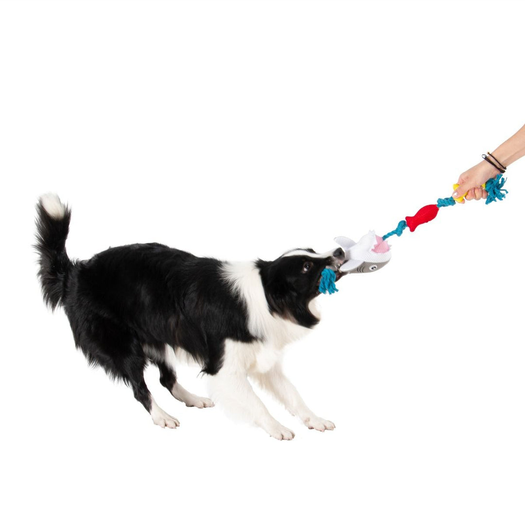 Territory Shark With Rope Toy - Quest Outdoors
