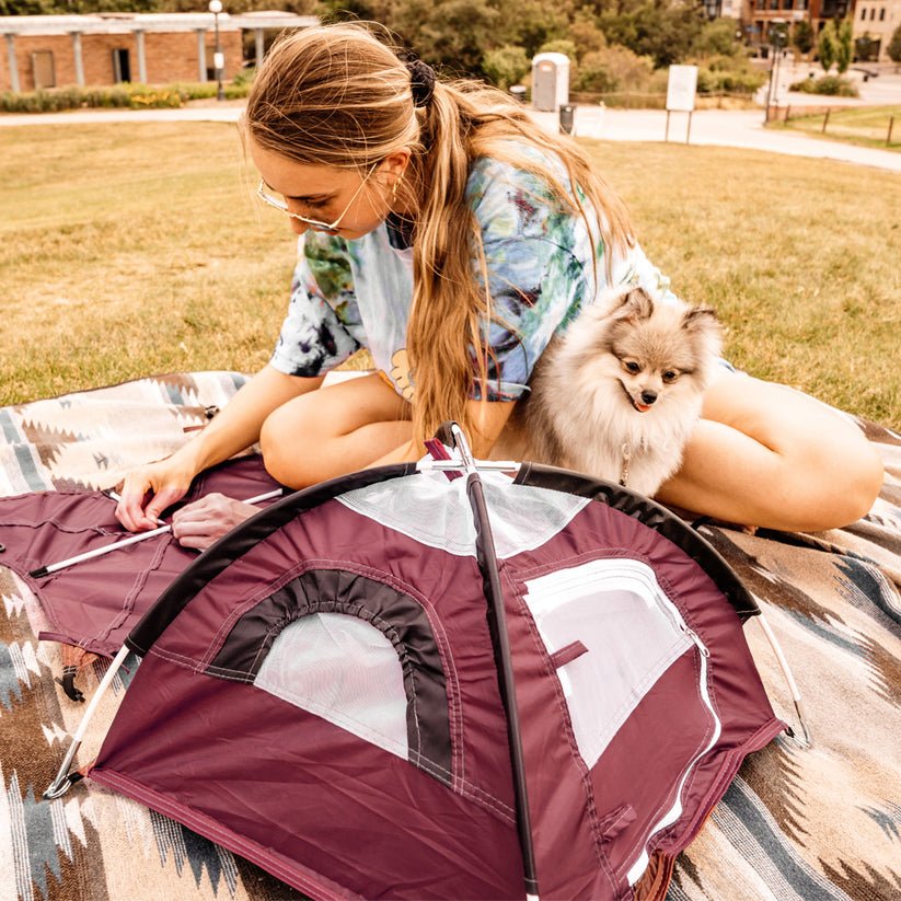 Tiny Tent - Quest Outdoors