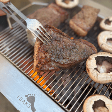 TOAKS Portable Fireplace - Quest Outdoors