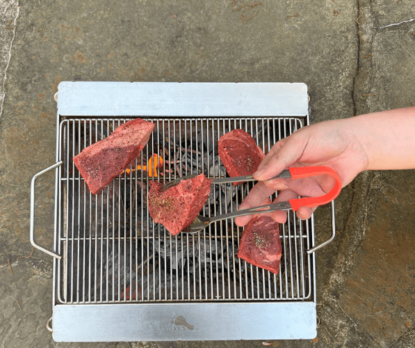 TOAKS Portable Fireplace Grill - Quest Outdoors